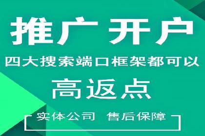 某电商平台的SEM广告投放全流程解析